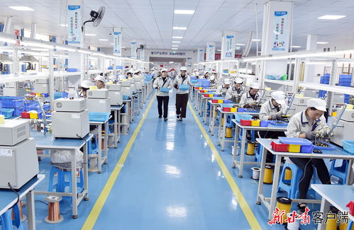 康樂東西協作鄉村就業工廠節后復工生產忙，職業中介活動助力就業